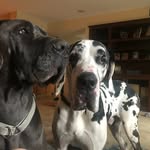 steve bronson - @bronsonworks4u - Instagram