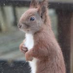 Steve Brookes - @stephen.p.brookes - Instagram