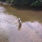steve broome - @broome.steve - Instagram