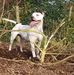 Stephen Brownrigg - Facebook
