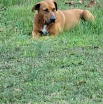 Steve Brune - Facebook