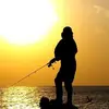 Steve Bruno - @steve.bruno - TikTok