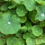 Steve Bruton - @bruton4762 - Instagram