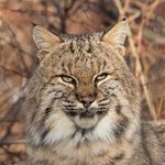 Steve Buckingham - @buckingham_steve - Instagram