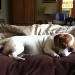 @steve_bucy - Instagram