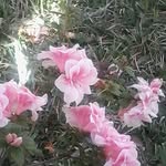 Steve Buford - @buford.steve - Instagram