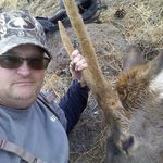 Steve Bumgardner - @bumgardnersteve - Instagram