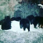 Steve Burkett - @burkett_steve - Instagram