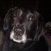 Steve Burrus - Facebook