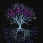 steve bushman - @brokensteve84 - Instagram