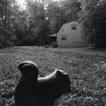 Steve Bushman - @steve.bushman - Instagram
