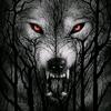 Steven - @steven_bushman2024 - TikTok