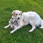 Steve Busse - @sbusse54 - Instagram
