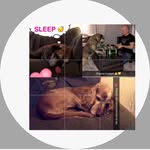 @buster.steve_ - Instagram