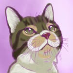 Steve & Buster Studio - @steveandbuster - Instagram