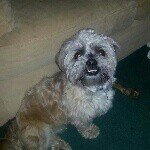 @stevebutlin75 - Instagram