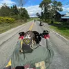 Steve Button - @damnyouscubasteve68 - TikTok