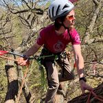 Steve Calabrese - @calabrese_tree_care - Instagram