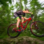 Steve - @stevecalland - Instagram