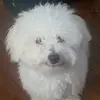 steven_canalez1 - @steven_canalez - TikTok