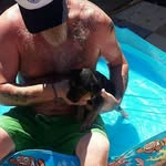 SteveCappoCapps - @capps.steve - Instagram