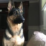 Steve Carbone - @scarb70454 - Instagram