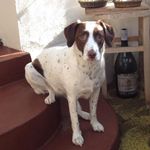 Steve Carder - @steve.carder.315 - Instagram