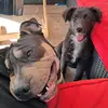 Steve Carlos - @steve.carlos79 - TikTok