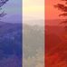 Steven Casale - Facebook