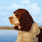 Steve Cash - @stevecash - Instagram