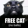 Stevecash - @_.talkingkittycats._ - TikTok