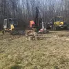 Steve@ Cass River Logging - @24pappy - TikTok