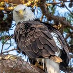 Steve Cassel - @the.skinnycoach - Instagram