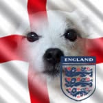 Steve Cassidy - @scgtpoole - Instagram