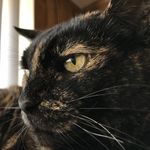 Steve Castleberry - @castleberry6208 - Instagram