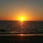 Steve Casto - @steve.casto - Instagram