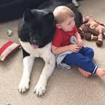 Steve Catling - @stevecatling - Instagram