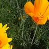 stevelcatlin27928 - @stevelcatlin27928 - TikTok