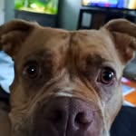 Steve Cecere - @bostonces67 - Instagram