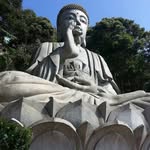 steve chai - @steve.chai - Instagram