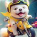 Steve Chai - Facebook