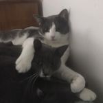 Steve Charron - @kingstever19 - Instagram