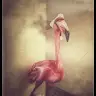 Steve Chastain - @stevechastain3 - TikTok