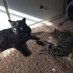 Steve And Chester - @steveandchester - Instagram