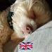 Steve Chester - Facebook