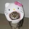 AFJEKWLAFKWEA - @stevethechick - TikTok