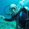 Steve Chick322 - @stevechick1 - TikTok
