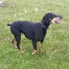 Steve Chick - @steve.chick8 - TikTok