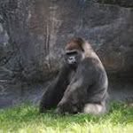 Steve Chick - @stevec772 - Instagram