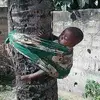 Steve Chicks - @steve.chicks - TikTok